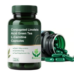 Fat Metabolism Capsules Manufacturer - Green Tea L Carnitine Softgels