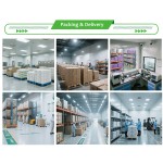 Liver Support Softgels Manufacturer - Kudzu Root Soy Lecithin