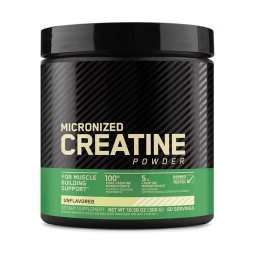 Creatine Powder Supplier - Monohydrate Muscle Strength Performance