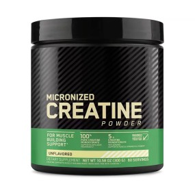 Creatine Powder Supplier - Monohydrate Muscle Strength Performance
