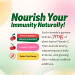 Vitamin C Gummies Factory - Vegan Immune Support Customizable