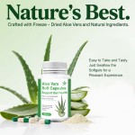 Aloe Vera Softgels Manufacturer - OEM Digestive Support Customizable