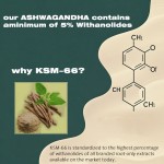 Ashwagandha Gummies Manufacturer - Organic Root Extract Calming