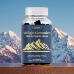 Shilajit Gummies Manufacturer - GMP Certified Himalayan Pure