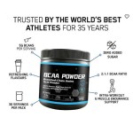 Amino Acid Powder Factory - BCAA Muscle Recovery Growth