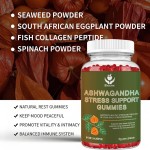 Ashwagandha Gummies Manufacturer - OEM Stress Relief Private Label