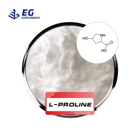 L-Proline Powder Factory - Food Grade Healthcare Supplement