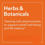 海带提取物粉末厂家 - 纯牛蒡根海藻批量