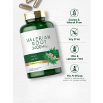 缬草根胶囊生产厂家 - 抗氧化草本补充剂