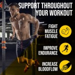 运动前粉末厂家 - β-丙氨酸肌酸250克