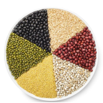 抗性淀粉RS4生产厂家 - 有机植物基补充剂