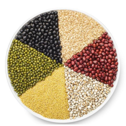 抗性淀粉RS4生产厂家 - 有机植物基补充剂