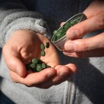 小球藻螺旋藻粉末生产厂家 - 有机片剂胶囊