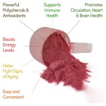 甜菜根粉末供应商 - 有机提取物OEM白标