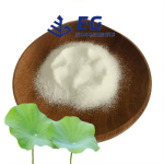 Slimming Capsules Factory - Lotus Leaf Extract Green Tea Natural