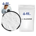 L-Alanine Powder Manufacturer - Food Grade Nutrition Enhancer Bulk