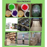 玛卡人参胶囊生产厂家 - 长杰克东革阿里200:1