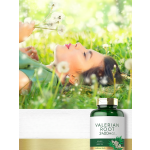 缬草根胶囊供应商 - 缬草酸根提取物粉末