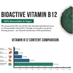 螺旋藻提取物片厂家 - 天然绿色批发