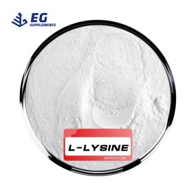 L-Lysine Powder Supplier - Poultry Feed Raw Material Enhancer