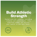 喜来芝提取物粉末供应商 - 喜马拉雅纯天然补充剂