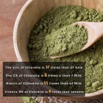 小球藻粉末厂家 - 有机常规高品质