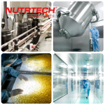 男性增强胶囊厂家 - 人参蒺藜提取物