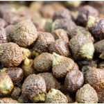 胡椒碱提取物粉末生产厂家 - 90%-98%黑胡椒膳食纤维