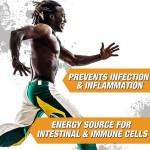 肌酸粉末生产厂家 - 运动前能量增强爆发力