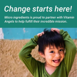 大麦草粉末供应商 - 有机绿色小麦草提取物