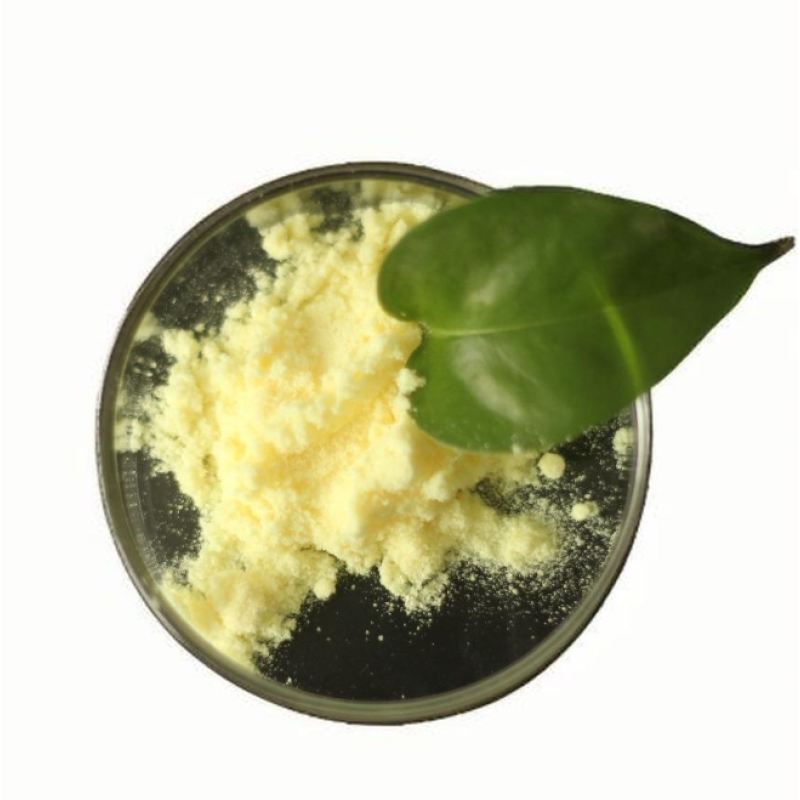 α-硫辛酸粉末厂家 - 99%R-硫辛酸批量补充剂