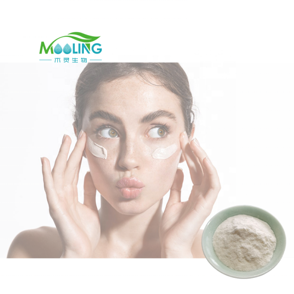 Kojic Acid Powder Factory - Cosmetic Grade 99% Skin Care