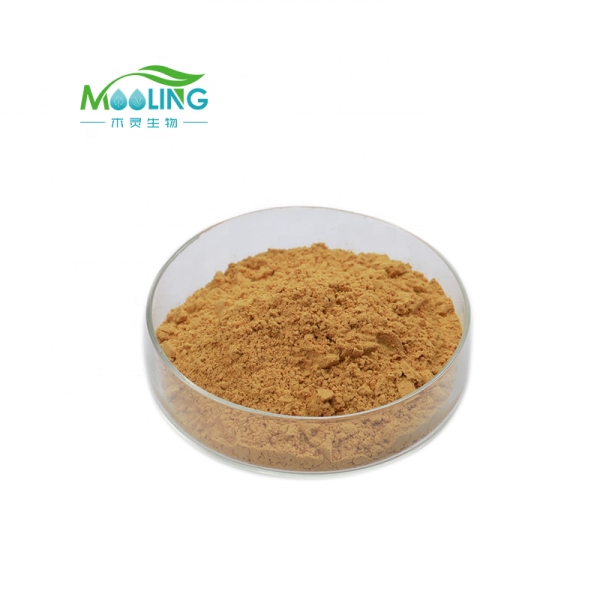 Milk Thistle Extract Factory - Herbal Supplements Silymarin Powder