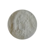 Acid Protease Enzyme Supplier - Food Beverage Brewing Protein