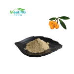 Loquat Leaf Extract Powder Manufacturer - Cosmetic Grade Ursolic Acid 20%-98%