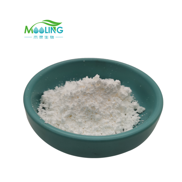 XOS Powder Factory - Xylo-oligosaccharide Digestive Health