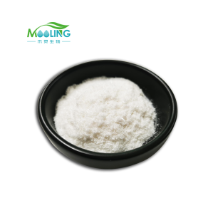 Enzymatic Detergent Booster Supplier - Low Temperature Bio Polish