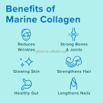 OEM Premium Marine Collagen Peptides Keto Wild-Caught Fish Protein Hydrolyzed Powder for Hair Skin Nails Joints