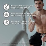 Hot Sale High Quality 100% Creatine Monohydrate Powder Private Label Nutrition Supplement for Adults