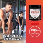 OEM Private Label 5000mg Sugar Free Muscle Growth Workout Energy Vegan Create Creatine Monohydrate Supplement Gummies for Men