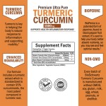 OEM ODM Turmeric Curcumin Capsules Adult Joint Support Brain Booster Heart Immune Booster with High Quality Ingredients