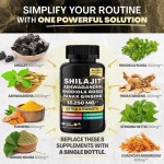 热销自有品牌Shilajit高品质喜马拉雅提取物粉末有效抗氧化补充胶囊剂型
