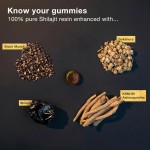 China Factory Wholesale OEM Private Label Organic Pure Himalayan Shilajit Resin Supplement Gummies Gold for Supplier