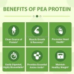 Plant-Based Natural Organic Textured Pea Protein Powder Non-GMO Sugar Free Heart Health