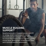 Creatine Monohydrate Powder for Energy Water-Soluble Supplement to Promote Muscle Growth Not for Pregnant Women