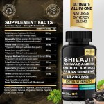热销自有品牌Shilajit高品质喜马拉雅提取物粉末有效抗氧化补充胶囊剂型
