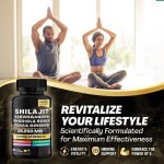 热销自有品牌Shilajit高品质喜马拉雅提取物粉末有效抗氧化补充胶囊剂型