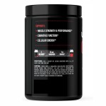 Food Grade Creatine Monohydrate Powder Protein OEM Private Label Supplement in Bottle Can Drum Plastic Container Packaging