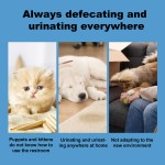 Pet Training Spray Factory - Indoor No Pee Formula for Kittens Puppies