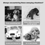 Pet Training Spray Manufacturer - Herbal No Scratch Deterrent Formula